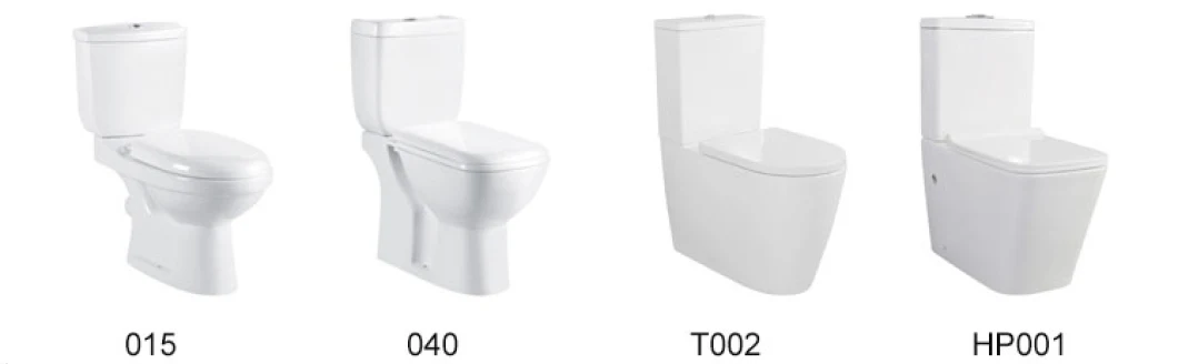 Round Shape S Trap 250mm Washdown One Piece Toilet Bowl Floor Mounted Bathroom Sanitary Toilet