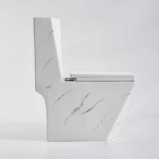 위생 상품 백색 목욕탕 세라믹 변기 다이아몬드 모양 지면은 한 조각 Wc 화장실을 거치했습니다
